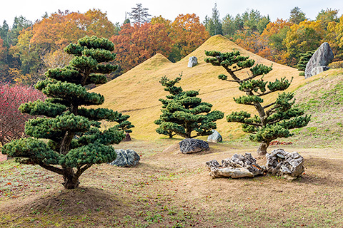 仙石庭園