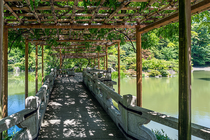 仙洞御所　八ッ橋