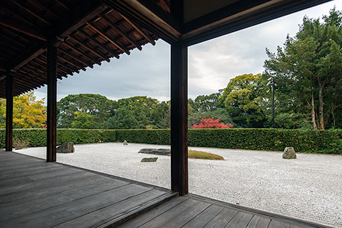 志度寺　無染庭