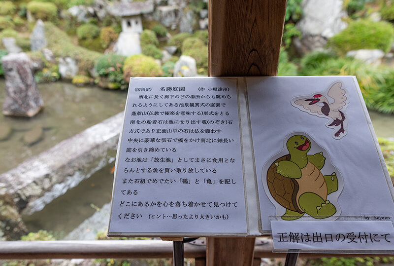鶴亀探し