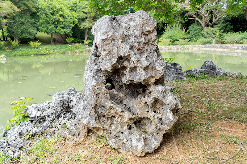 琉球石灰岩