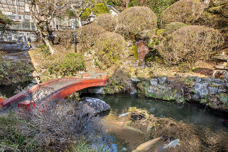 池泉庭園