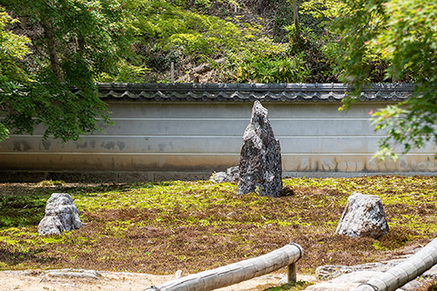 真長寺 石庭