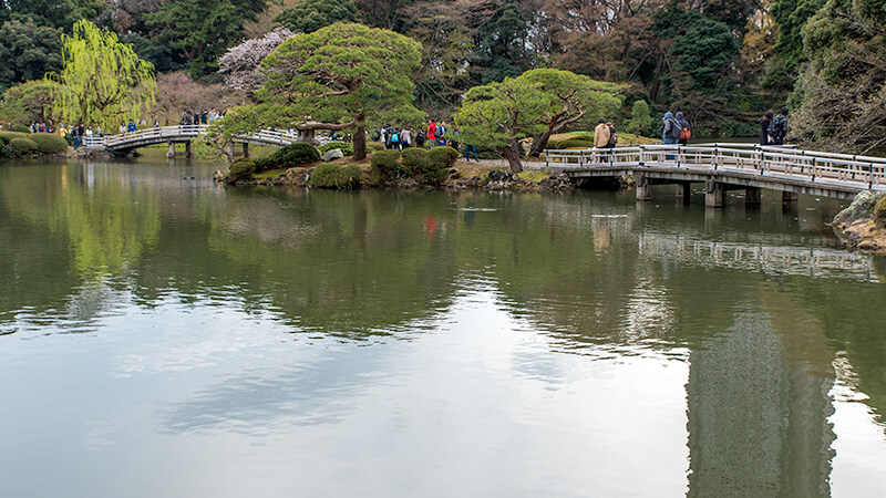 中島を挟み平橋と太鼓橋（反橋）