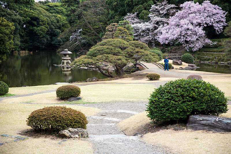 玉藻池周辺の庭園