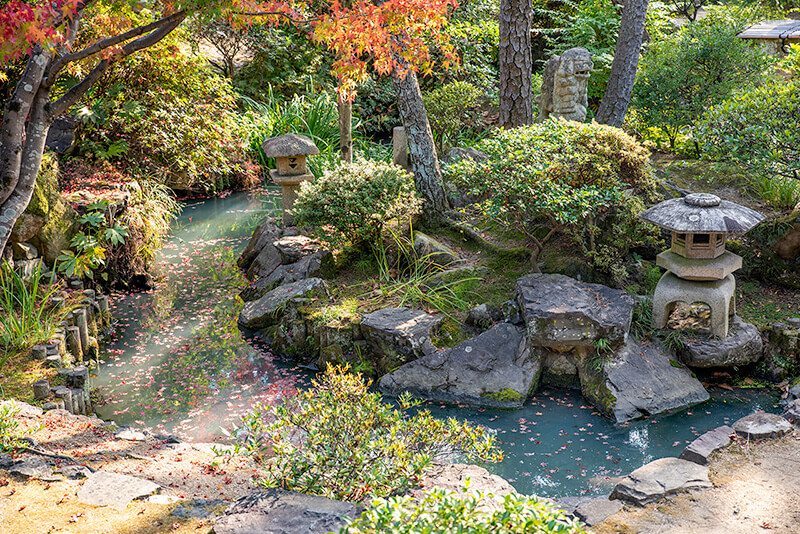 新渓園　池泉