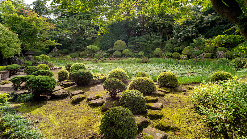 池泉回遊式庭園