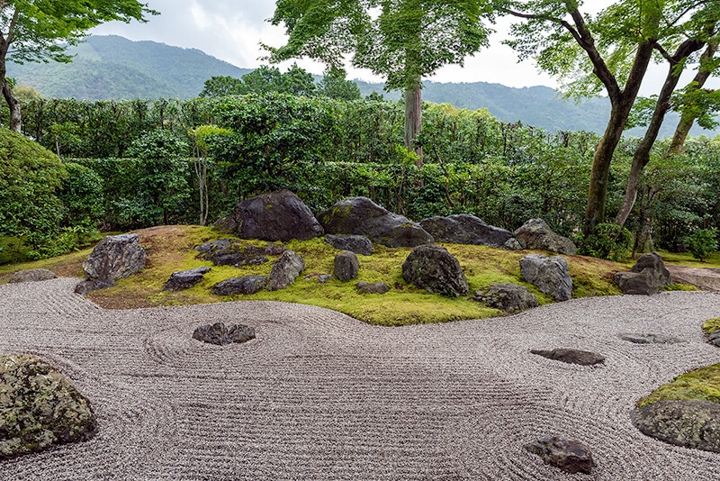 生垣と東山