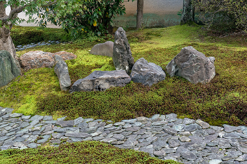 苔の状態も比較的良好
