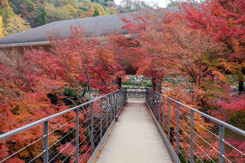 洸庭へ繋がる橋