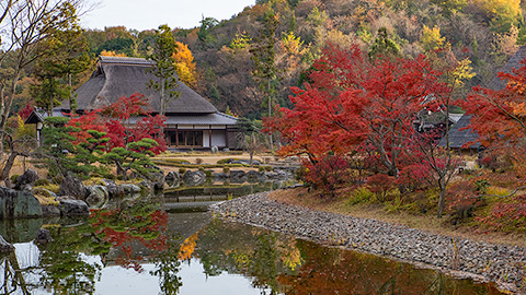 禅と庭のミュージアム 賞心庭