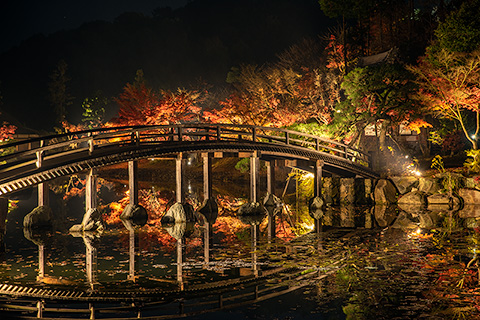 神勝寺 紅葉ライトアップ特別拝観