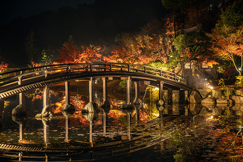 龍背橋