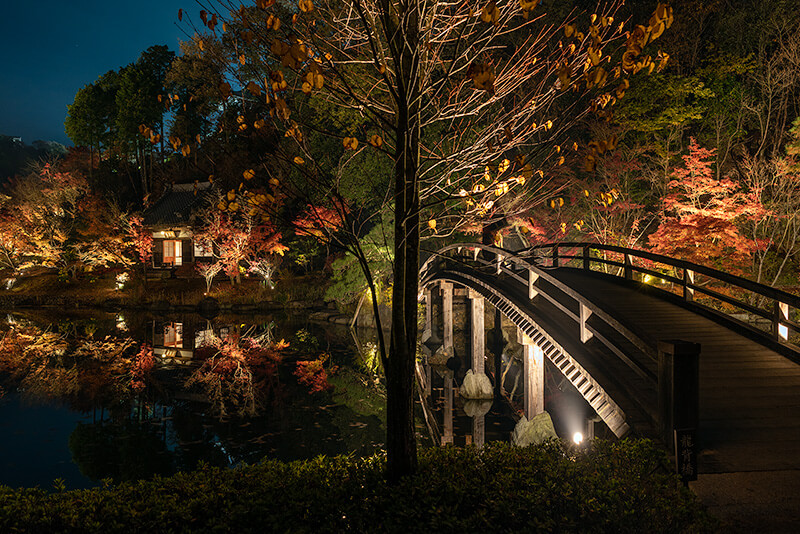 龍背橋