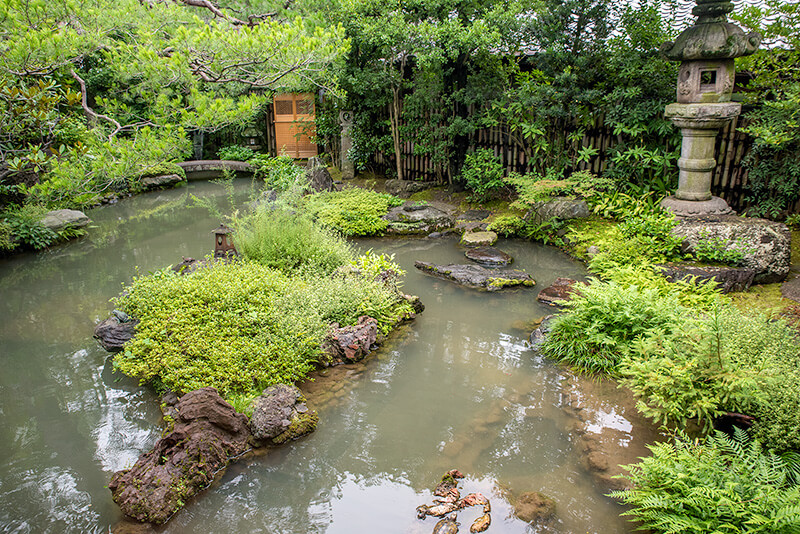 沢飛石