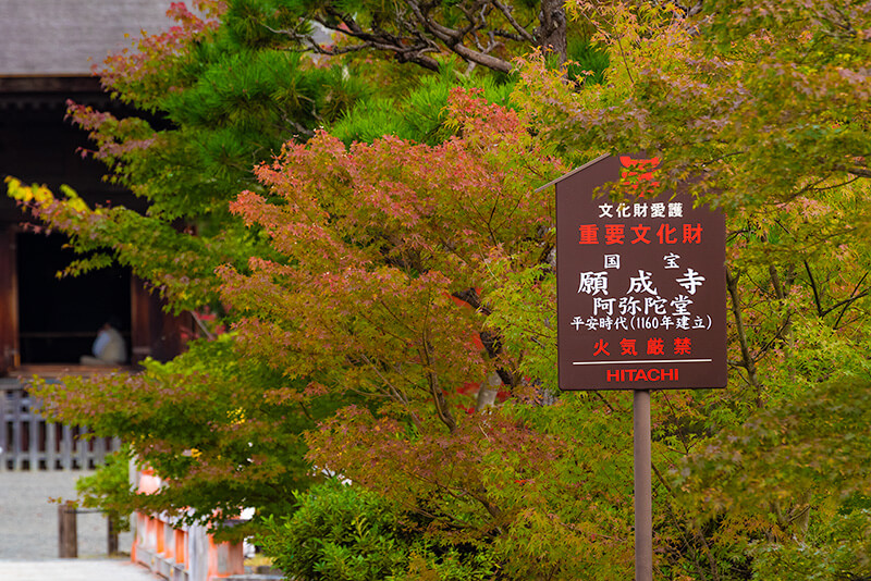 願成寺　阿弥陀仏堂