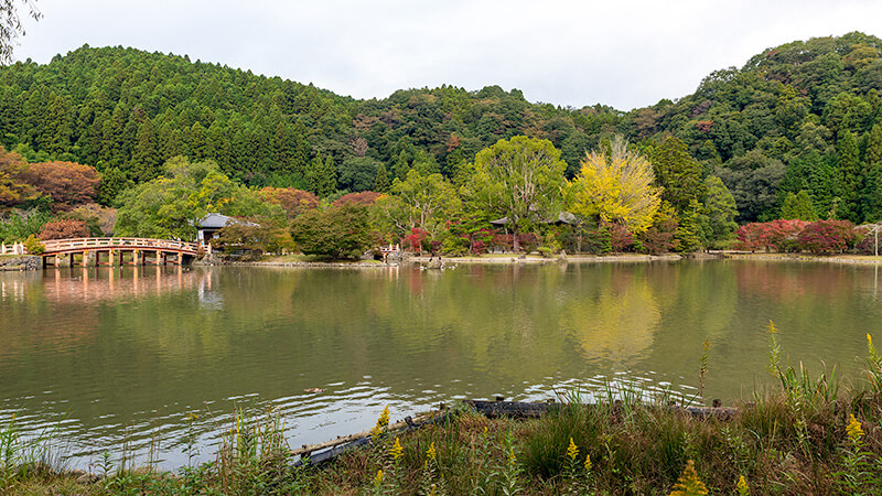 借景の美しい浄土式庭園