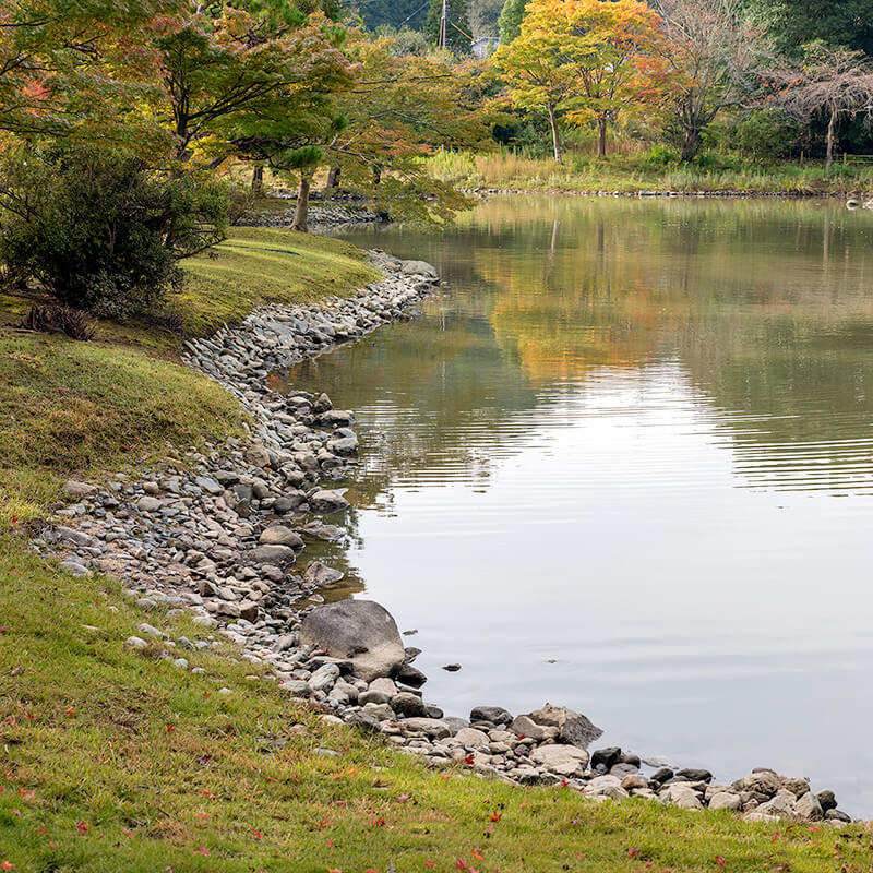 西池に面した洲浜