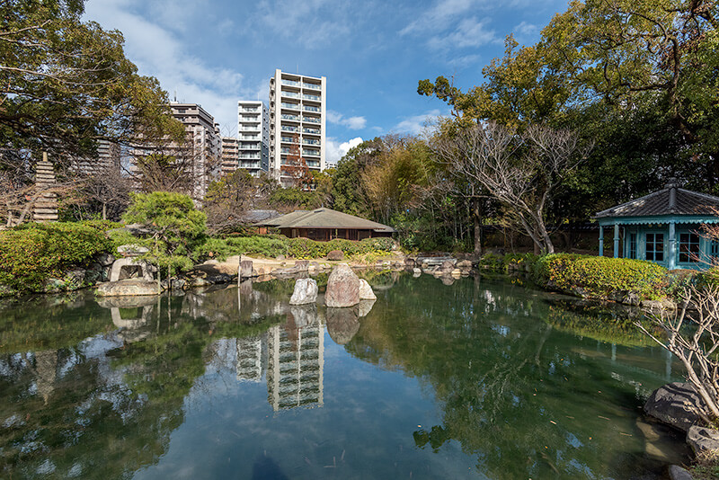 極楽の池