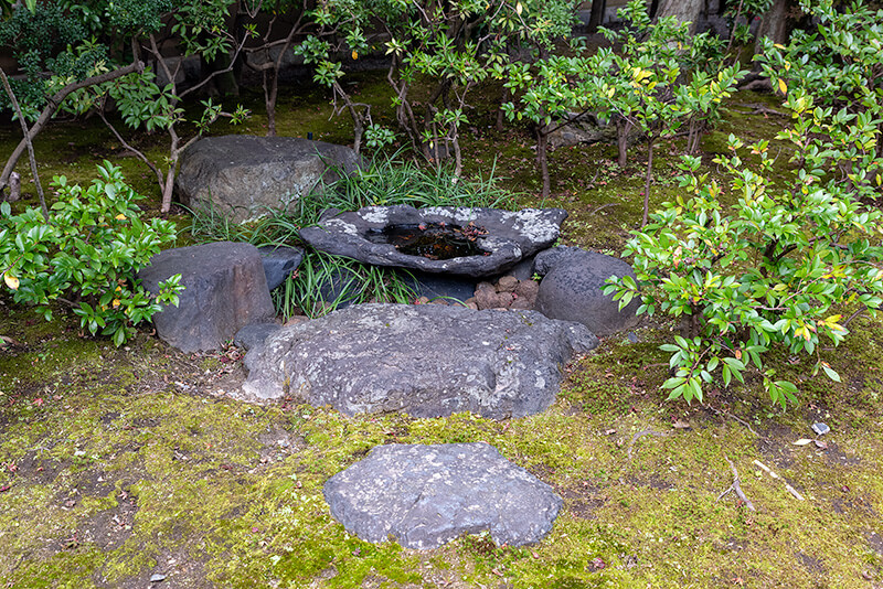 蹲居
