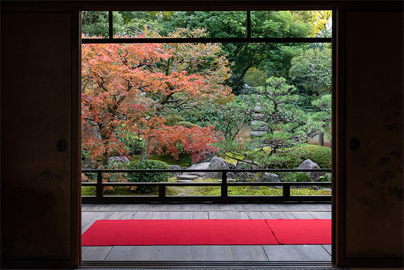 額縁庭園