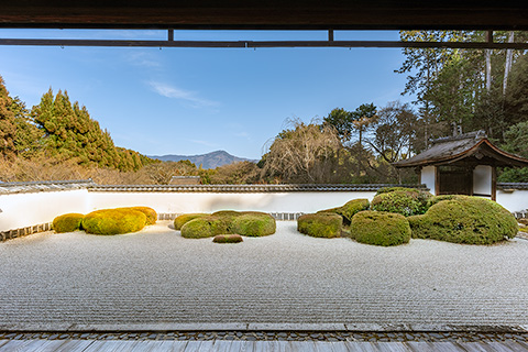 正伝寺