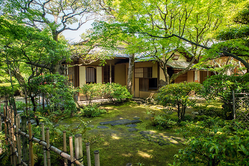 松風庵、広間、内露地を撮影