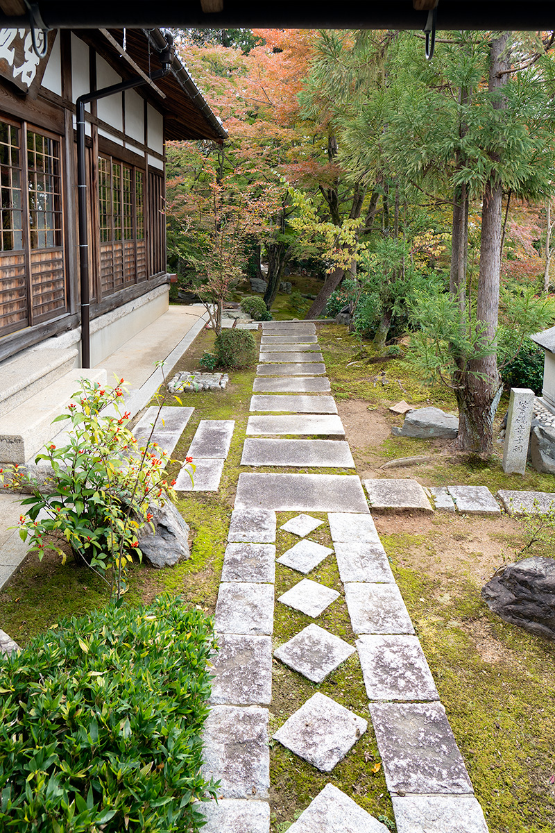 延段のような飛石