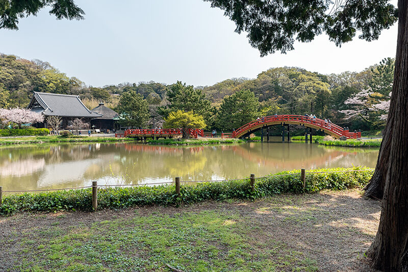 反橋と平橋が架かる称名寺
