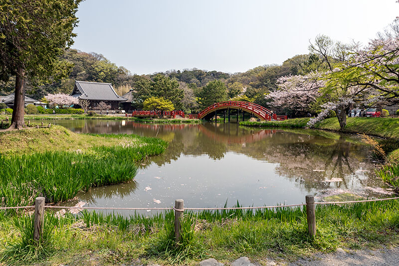 称名寺全景