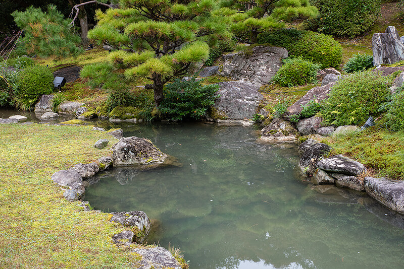 相阿弥の庭　龍心池