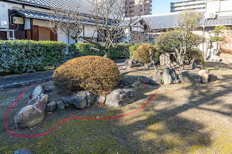 亀の庭