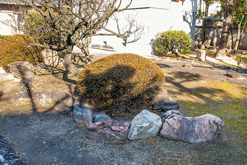 亀の庭