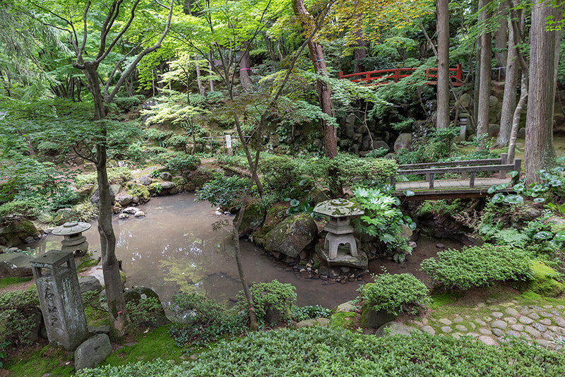紅葉シーズンは鮮やかな色合いで美しい光景