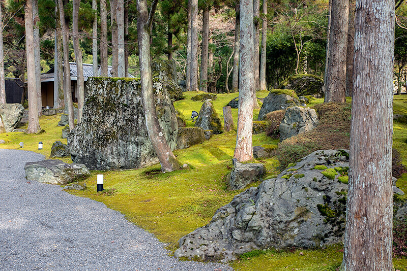 苑路と苔庭が境目がない