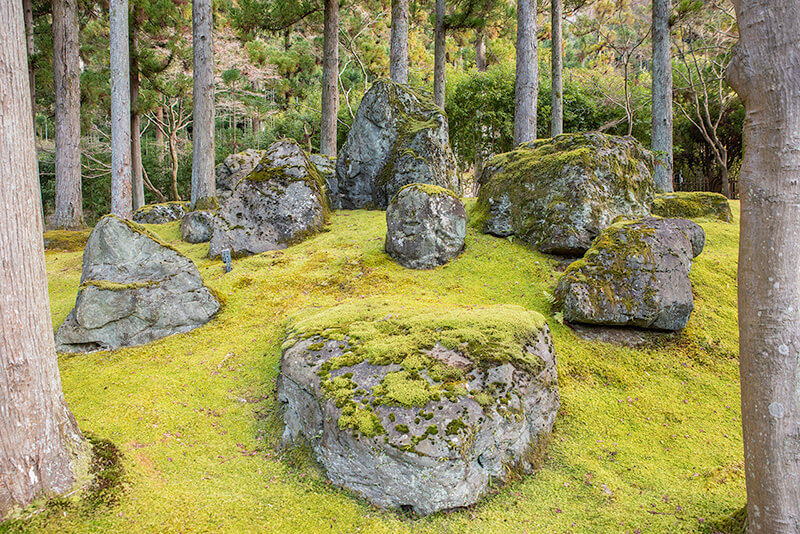 観光庭園