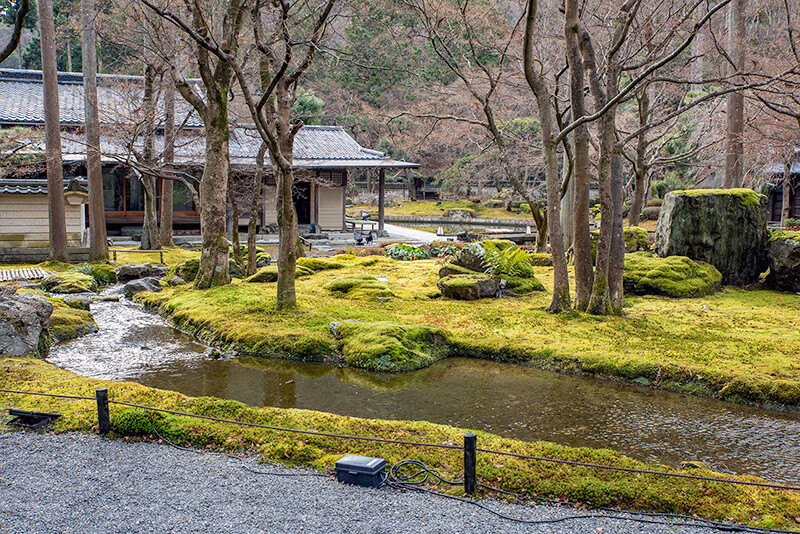 汀まで苔で覆われている