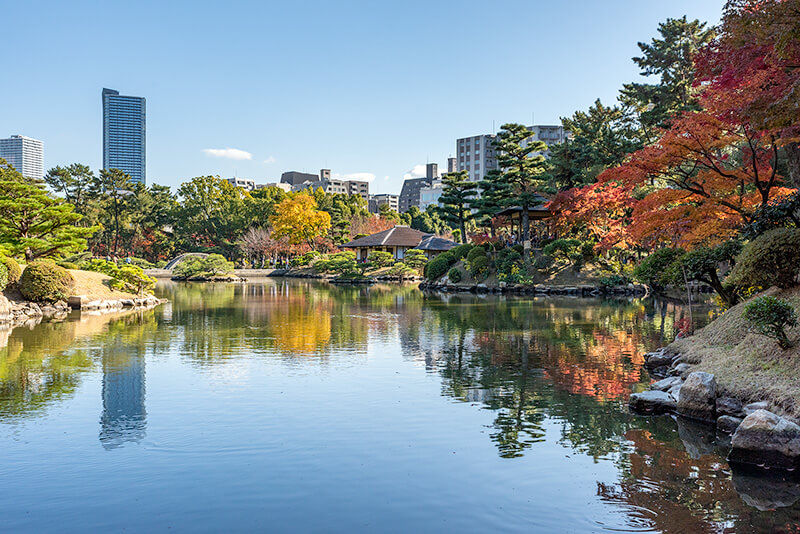 都市部にあるため高層マンションに囲まれている