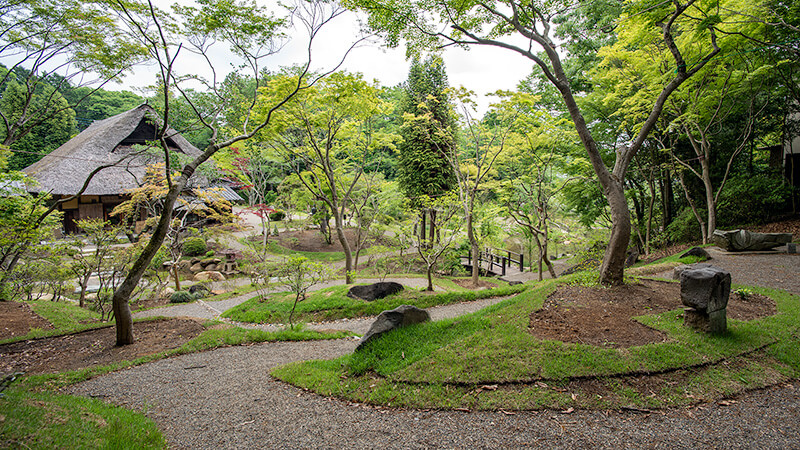 回遊する楽しさがある庭園