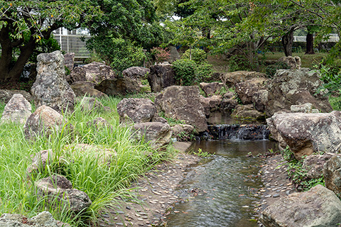 袖ケ浦公園