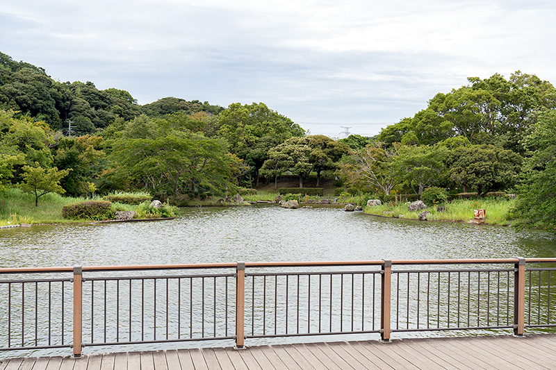 遊魚池