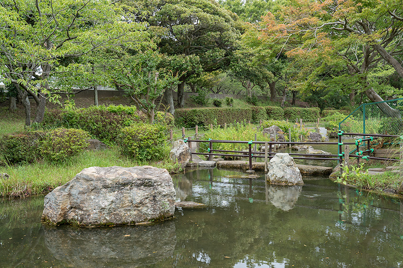 沢飛石