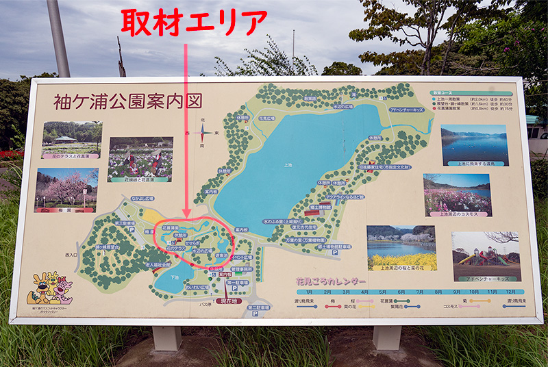 袖ケ浦公園の案内図