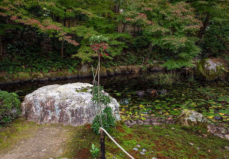 月輪殿庭園の巨石
