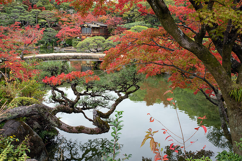 土橋