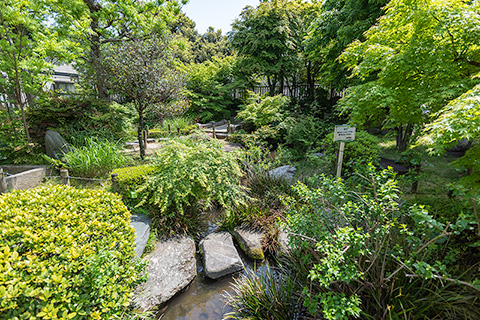 外谷汐入庭園