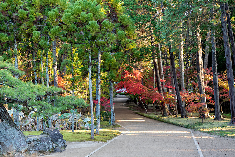 庭園までの参道