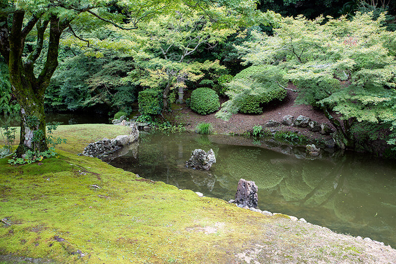 池泉と苔庭を立体的になるようにみせている。