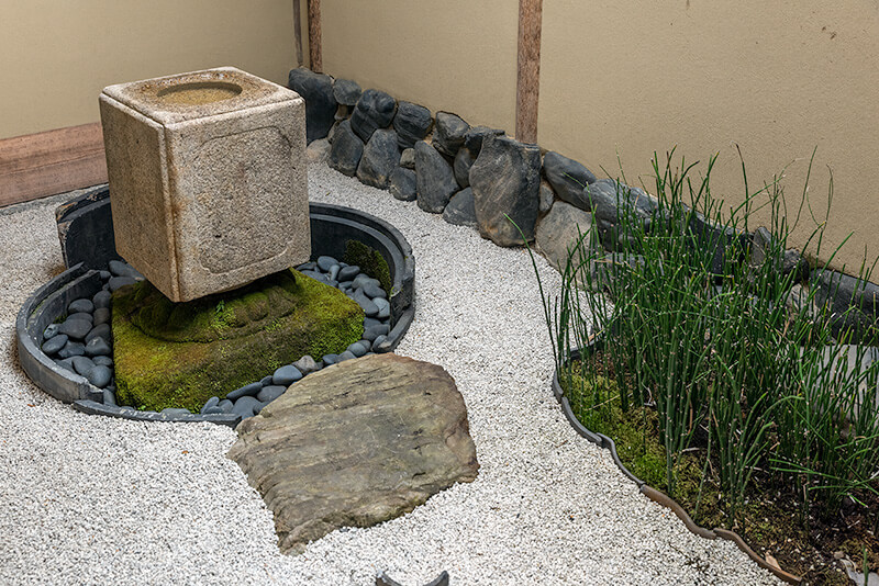 前庭