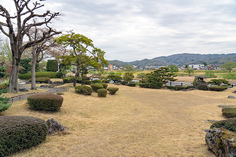 花見山